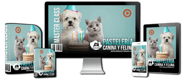 Pastelería canina y felina: aprende a preparar snacks saludables para tus mascotas