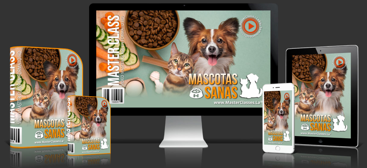 Alimentación Natural para Mascotas: Mi Experiencia de 8 Años y Por Qué el Curso Mascotas Sanas Cambió Todo