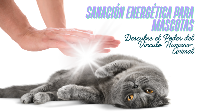 Sanación Energética para Mascotas: Entre la Magia y la Realidad 🐾✨