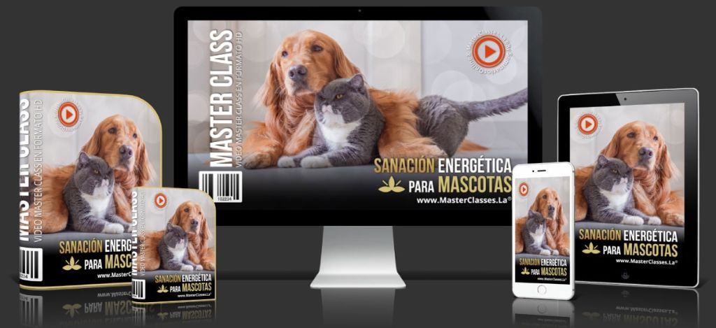 Sanación Energética para Mascotas: una visión holística para el cuidado de nuestros peludos
